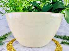 Load image into Gallery viewer, Big Plant Energy