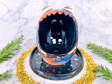 Load image into Gallery viewer, Stellar Sponge Houser