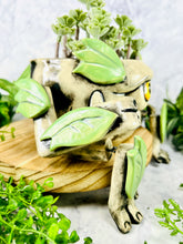 Load image into Gallery viewer, Green Thumb Chieftain