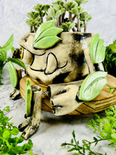 Load image into Gallery viewer, Green Thumb Chieftain