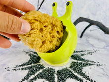 Load image into Gallery viewer, Professor Slugworth