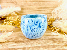 Load image into Gallery viewer, Agave BlueShoots