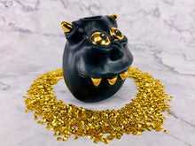 Load image into Gallery viewer, Golden Grills