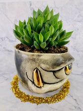 Load image into Gallery viewer, Gardinio Greens