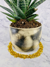 Load image into Gallery viewer, Twankle Greens