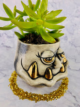 Load image into Gallery viewer, Shimmering Earth Spirit