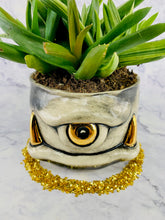 Load image into Gallery viewer, 22 Carrot Top