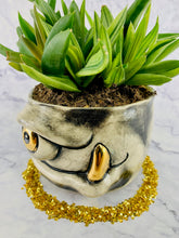 Load image into Gallery viewer, 22 Carrot Top