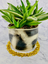 Load image into Gallery viewer, 22 Carrot Top