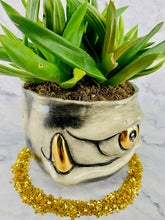 Load image into Gallery viewer, 22 Carrot Top