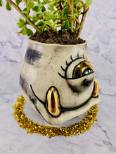 Load image into Gallery viewer, Sunrise Eyes