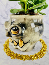 Load image into Gallery viewer, The Rapper Formerly Known as Lil' Pissy Paws