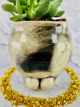 Load image into Gallery viewer, The Rapper Formerly Known as Lil' Pissy Paws