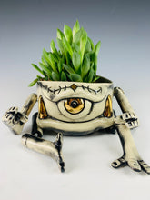 Load image into Gallery viewer, Garden Guardian
