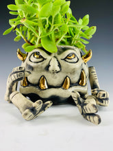 Load image into Gallery viewer, Master Gardener