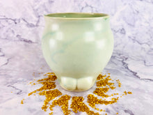 Load image into Gallery viewer, Salty Grouch