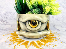 Load image into Gallery viewer, Oberon Organica