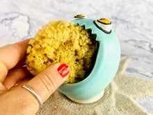 Load image into Gallery viewer, Sponge Muncher