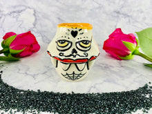 Load image into Gallery viewer, Diego de la Vega