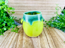 Load image into Gallery viewer, Moss Def