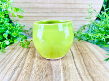 Load image into Gallery viewer, Marjoram Trailer Green