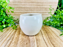 Load image into Gallery viewer, Tranquilous Chill Bone