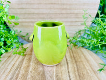 Load image into Gallery viewer, Chives Buttless