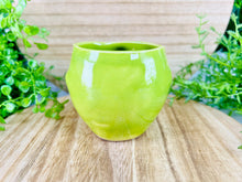 Load image into Gallery viewer, Slumber Thyme