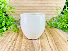 Load image into Gallery viewer, Exclamatious Parsnips