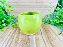 Load image into Gallery viewer, Basil Peeper