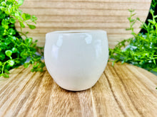 Load image into Gallery viewer, Professor Oculus Ginseng