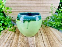 Load image into Gallery viewer, The Brilliant Botanist