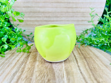 Load image into Gallery viewer, Parsneaky Blinders