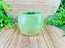 Load image into Gallery viewer, Mint Mischief