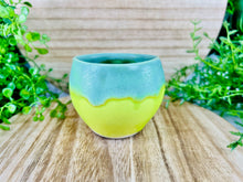 Load image into Gallery viewer, Serene Chloroplastia