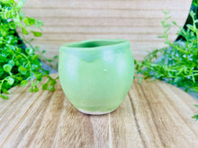 Load image into Gallery viewer, Dillweed Jr.