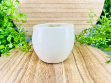 Load image into Gallery viewer, Seed Money Johnson