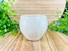 Load image into Gallery viewer, Moonbeams Sinatra