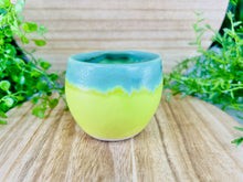 Load image into Gallery viewer, Evergreenious McBoss