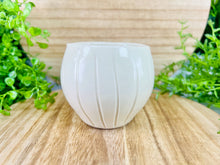 Load image into Gallery viewer, Peace Lily