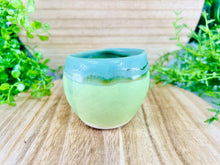 Load image into Gallery viewer, Darious Sprouts