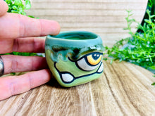 Load image into Gallery viewer, Darious Sprouts