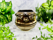 Load image into Gallery viewer, Spiritus Indomitus