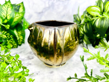 Load image into Gallery viewer, Spiritus Indomitus