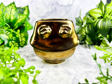 Load image into Gallery viewer, Aura Gleamcatcher