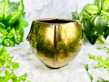 Load image into Gallery viewer, Aura Gleamcatcher