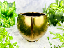 Load image into Gallery viewer, Aura Gleamcatcher