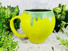 Load image into Gallery viewer, Rosemary Spritzel