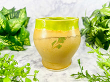 Load image into Gallery viewer, Zen-Ginger Swapps