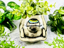 Load image into Gallery viewer, Sir Plantcelot